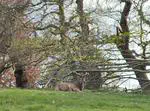 Cumberland Lodge Residential 2023
